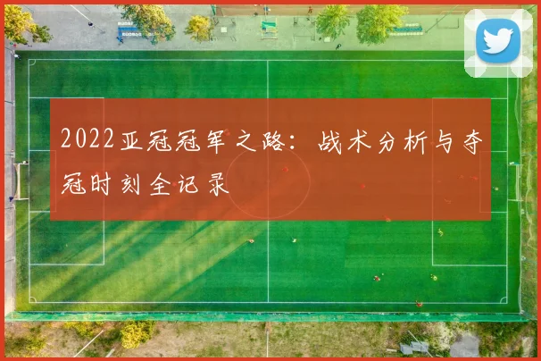 2022亚冠冠军之路：战术分析与夺冠时刻全记录