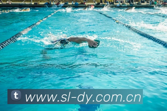 多媒体互动体验